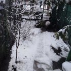 Snow-covered urban landscape with buildings, trees, tire tracks, and vehicle.