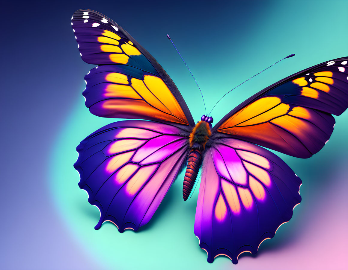 Colorful Butterfly with Purple, Orange, and Yellow Wings on Gradient Background