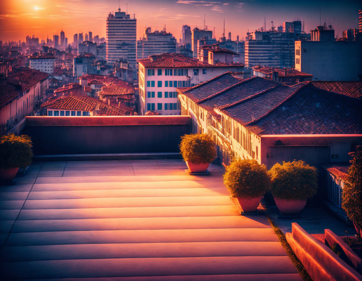 Cityscape sunset with silhouetted buildings and terrace with potted plants