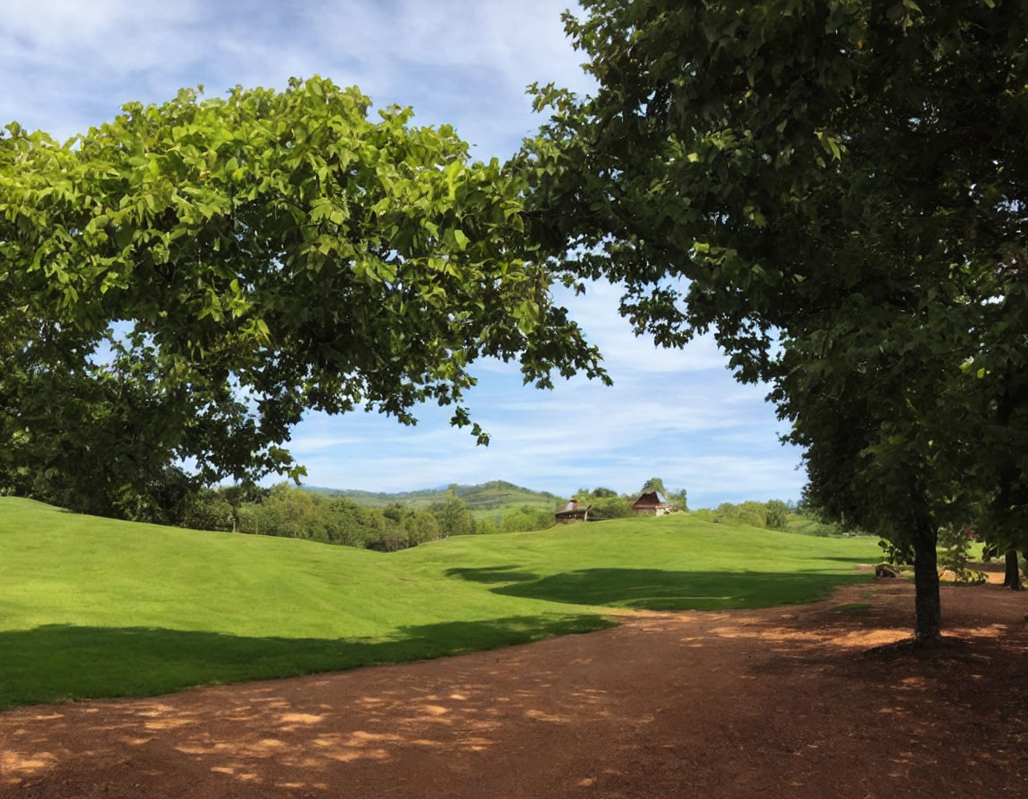 Scenic dirt path in lush green park with blue sky and distant house