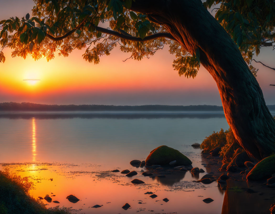 Tranquil sunset scene over calm lake with leaning tree and rocks