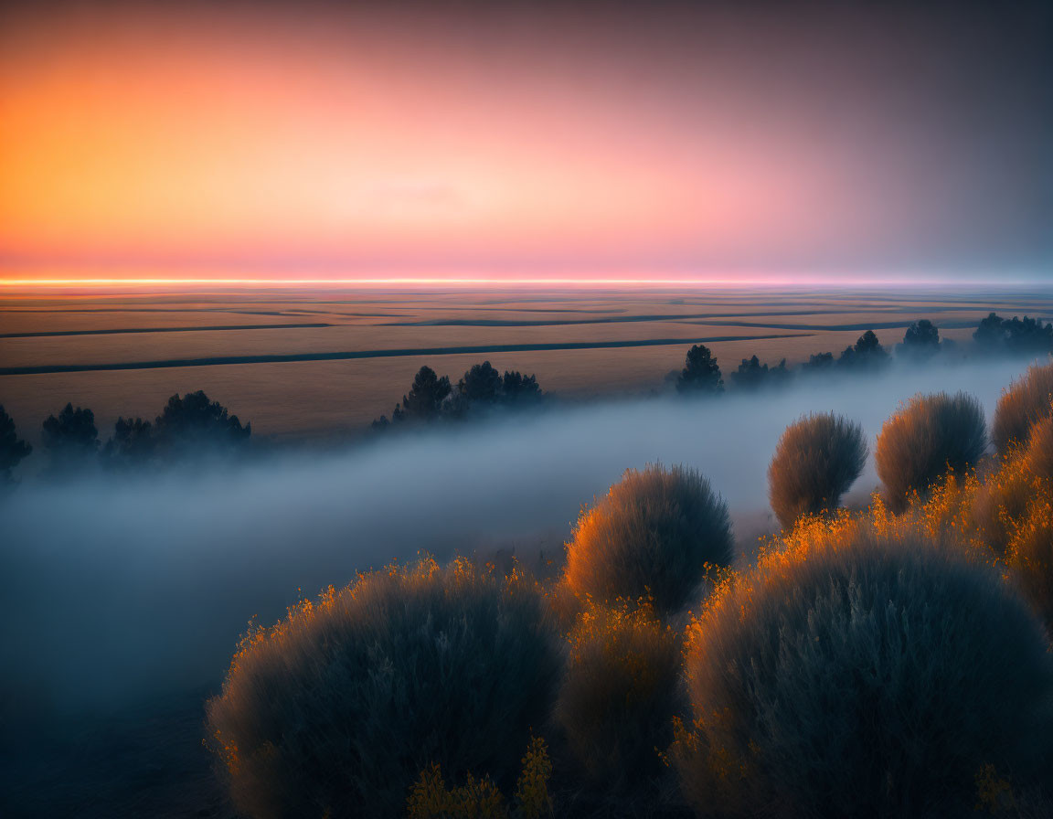 Twilight landscape with fog-covered trees and colorful sky