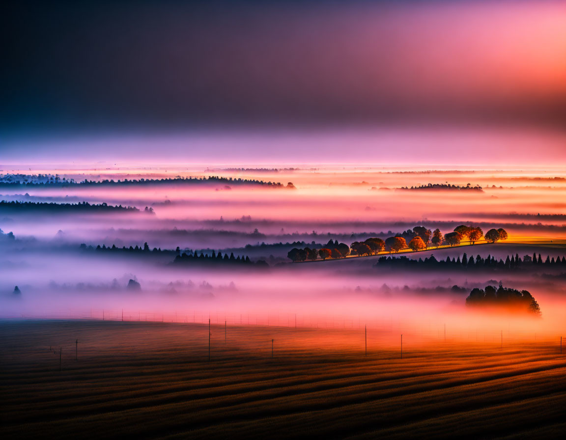 Misty sunrise landscape with silhouetted trees and golden light