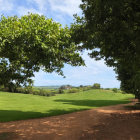 Scenic dirt path in lush green park with blue sky and distant house