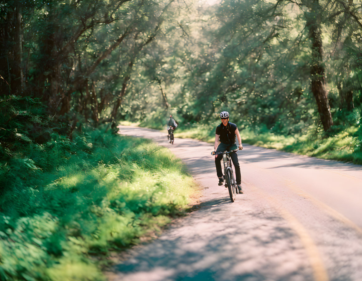 Cyclists on sun-dappled road surrounded by lush green trees