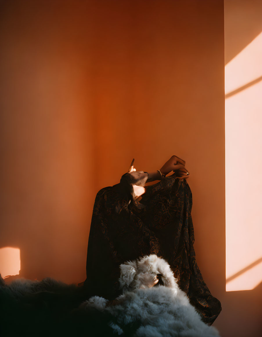 Contemplative figure in dark lace garment and mask in warmly lit room