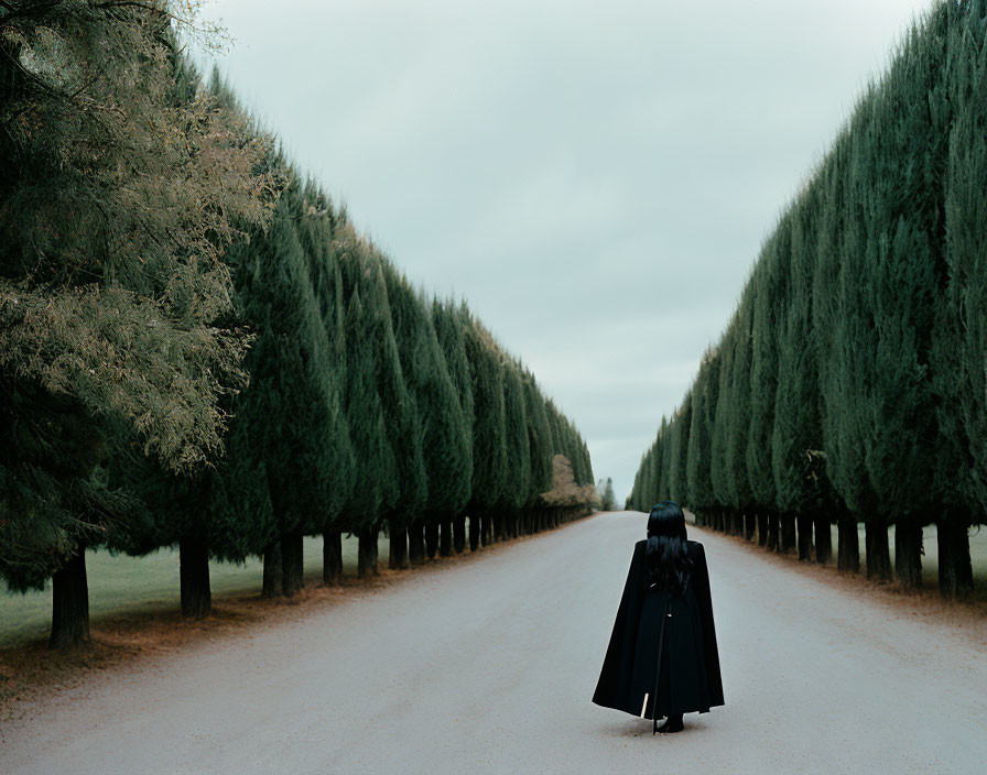 Person in Black Cloak Walking Down Serene Avenue with Conifer Trees