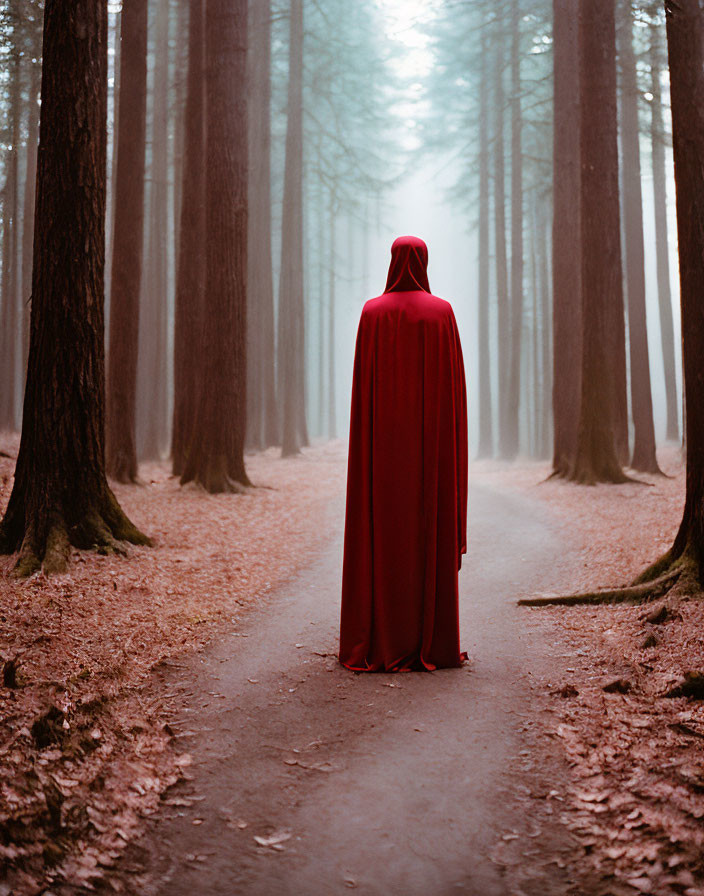 Person in Red Cloak on Foggy Forest Path with Tall Trees