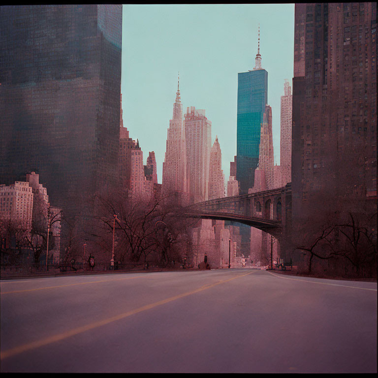 Urban park with bare trees, bridge, and skyscrapers in hazy dusk scene