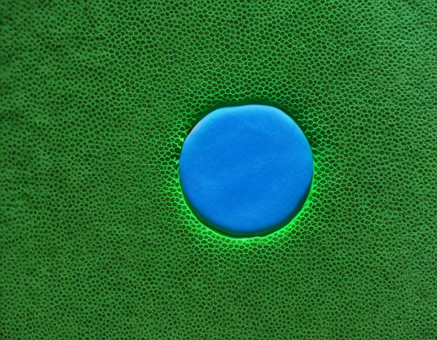 Blue droplet on textured green surface with hexagonal patterns