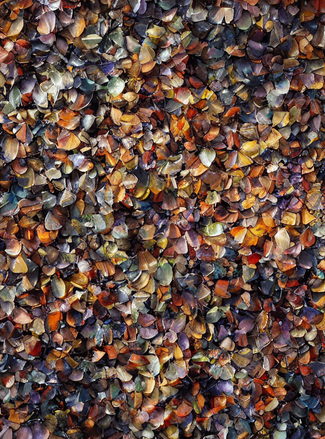 Vibrant autumn leaves create rich mosaic on ground