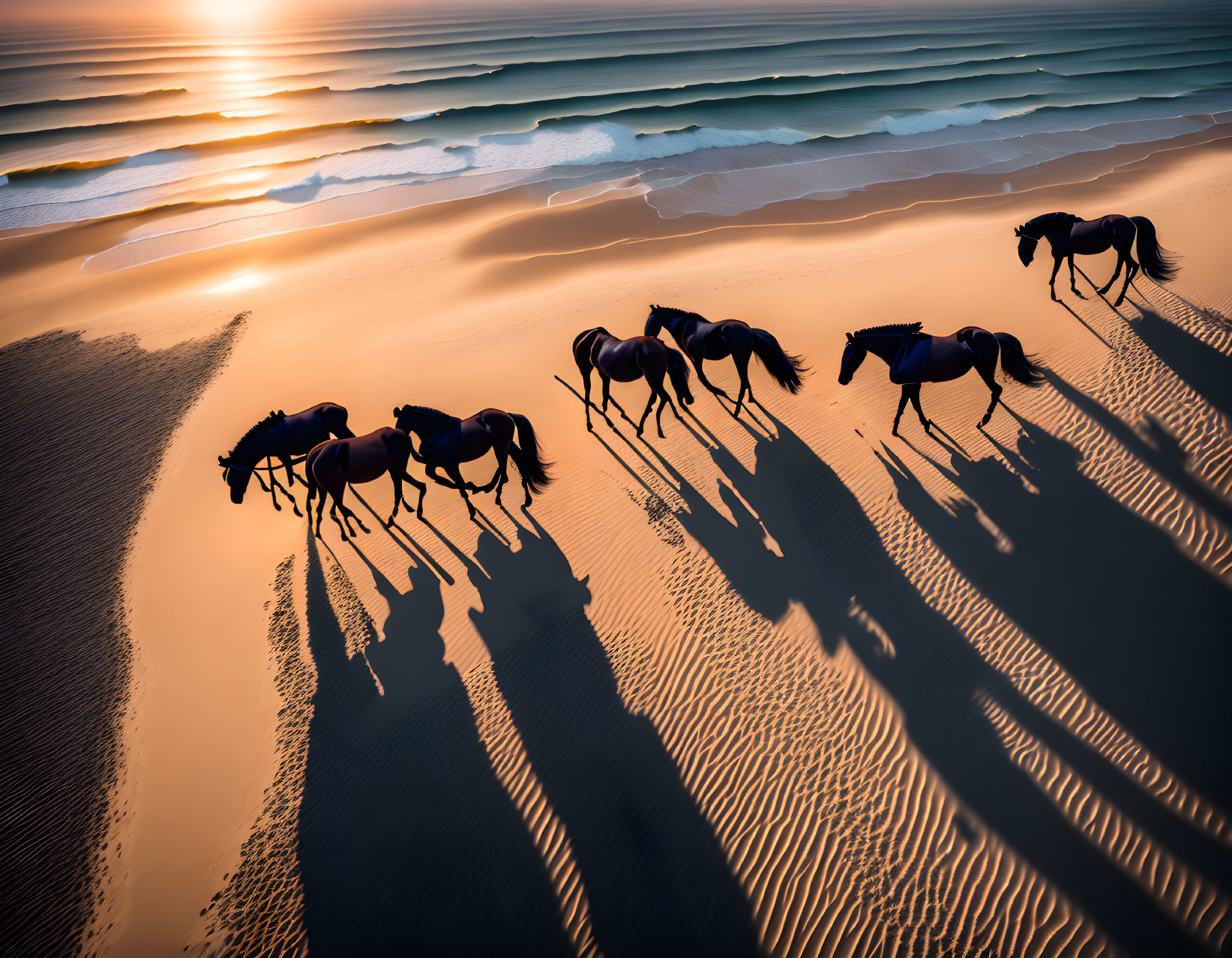 Herd of Horses Galloping on Sand Dunes at Sunset