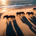 Herd of Horses Galloping on Sand Dunes at Sunset