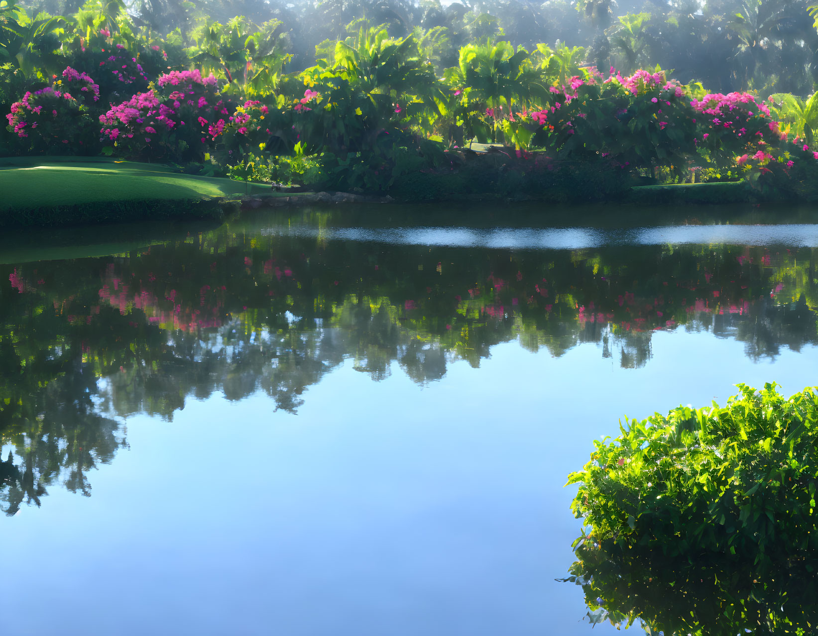 Tranquil lake with lush greenery and pink flowers under hazy sky