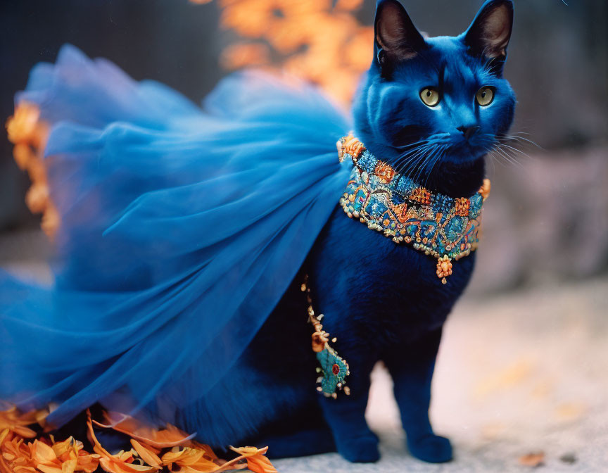 Black Cat in Blue Cape with Beaded Necklace Among Orange Leaves