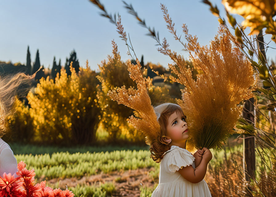 Young child in white dress with pampas grass in sunny field