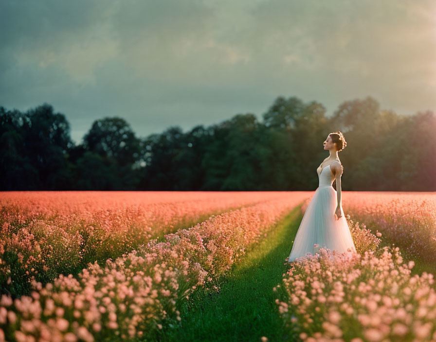 Bride in white dress in lush pink flower field at sunset