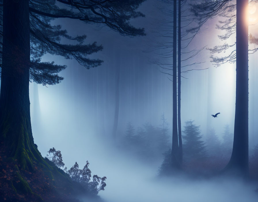 Misty forest scene with tall trees and bird in flight