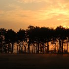 Tranquil forest sunset with golden light and river view