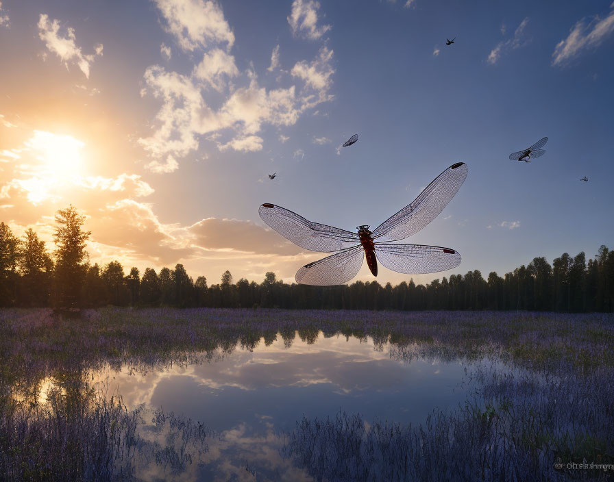 Tranquil landscape with dragonfly, reflective water, forest, sunset sky.