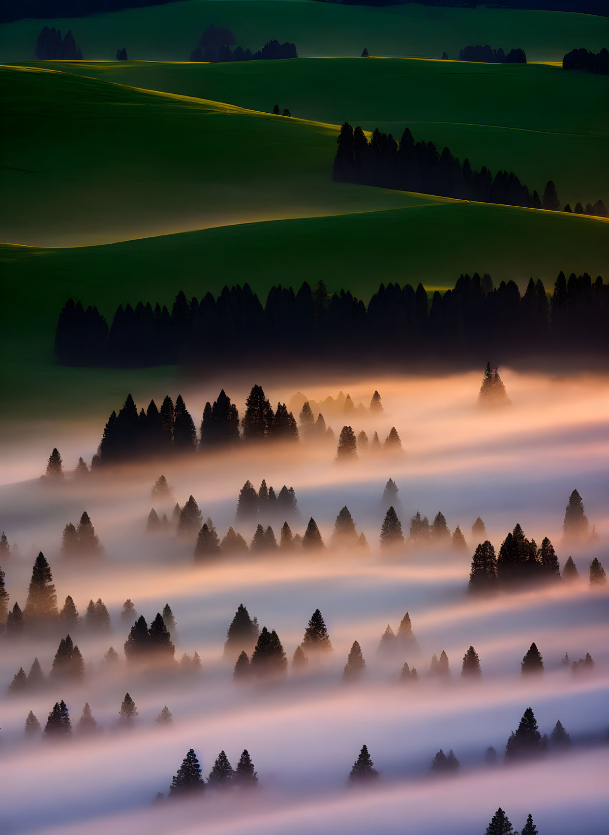 Twilight landscape: Misty green hills and trees under gradient sky