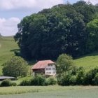 Children walking to pink house in forest clearing with garden