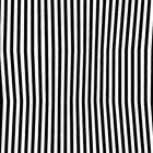 Monochrome image of two zebras blending stripes, one facing camera