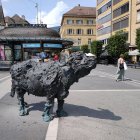 Large bison in European town square with classic architecture