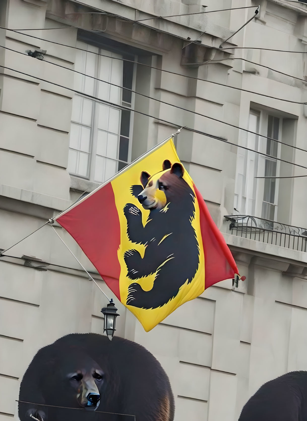 Red and yellow flag with bear silhouette and real bear head below