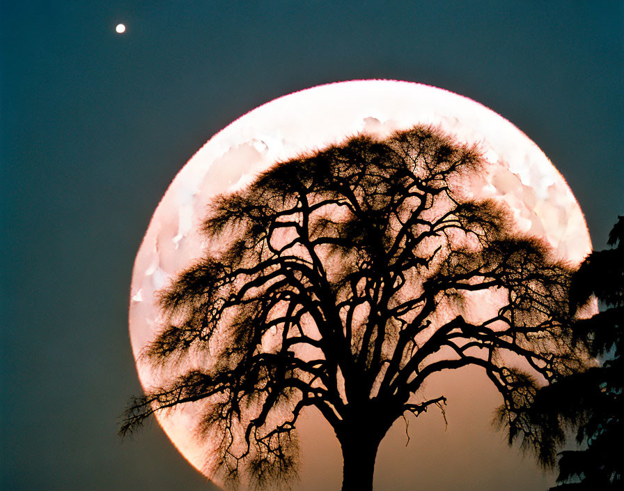 Silhouetted tree against large glowing full moon with distant celestial body.