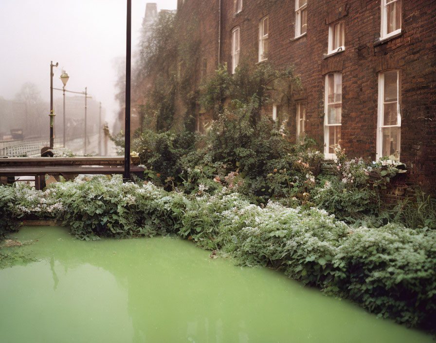 Serene misty canal with lush greenery and brick building