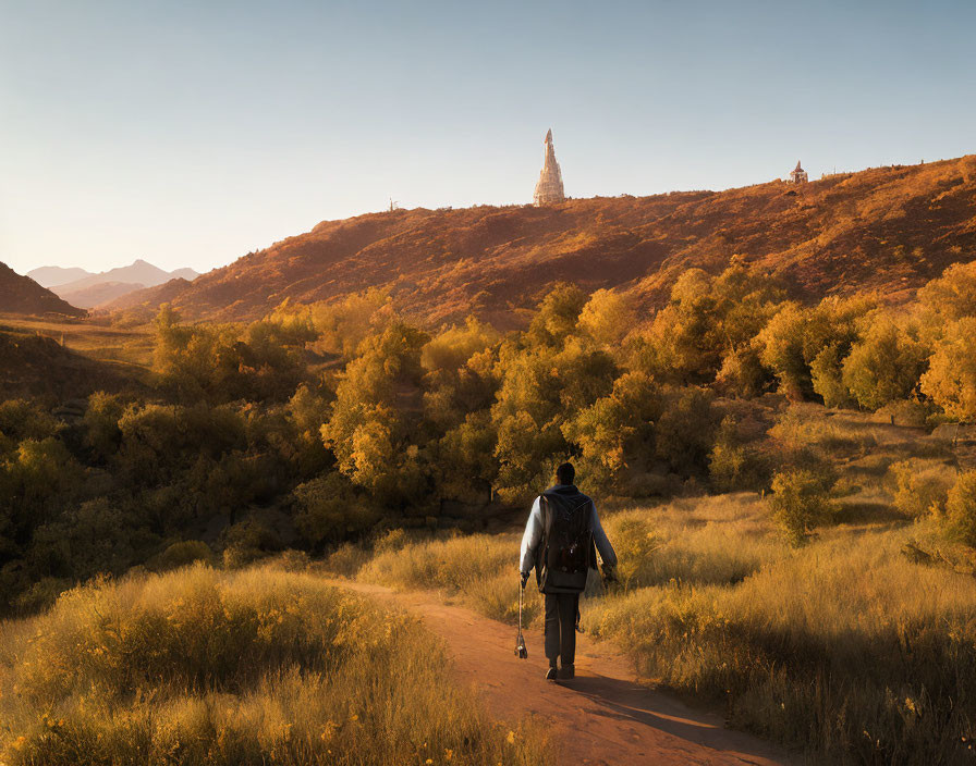 Hiker on winding path through sunlit golden landscape