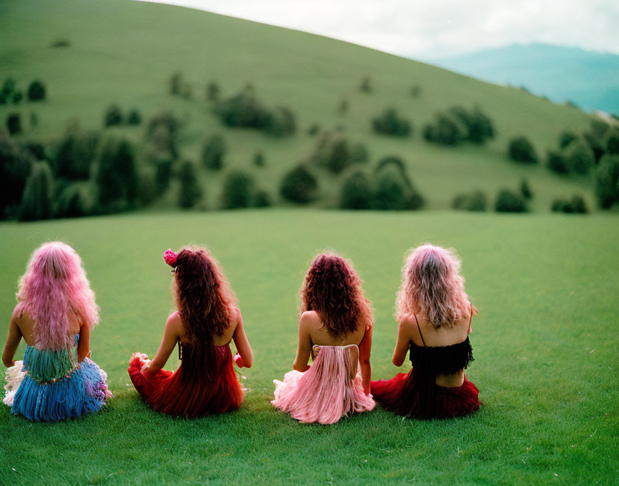 Four People in Colorful Wigs Sitting in Grass Field