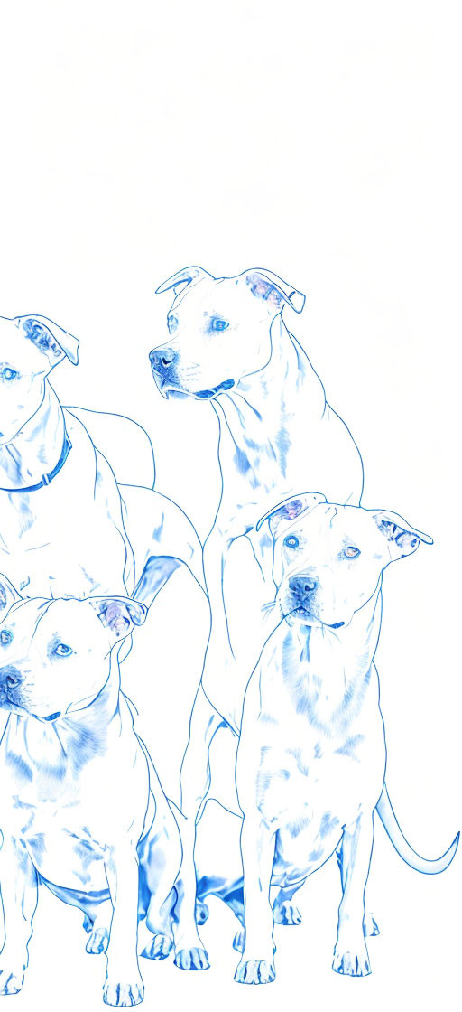 Blue Outlined Dogs on White Background Artwork