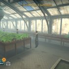 Greenhouse filled with plants under sunlight