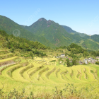 Colorful landscape illustration of rolling hills with fields, trees, and terraced landscapes under a clear sky