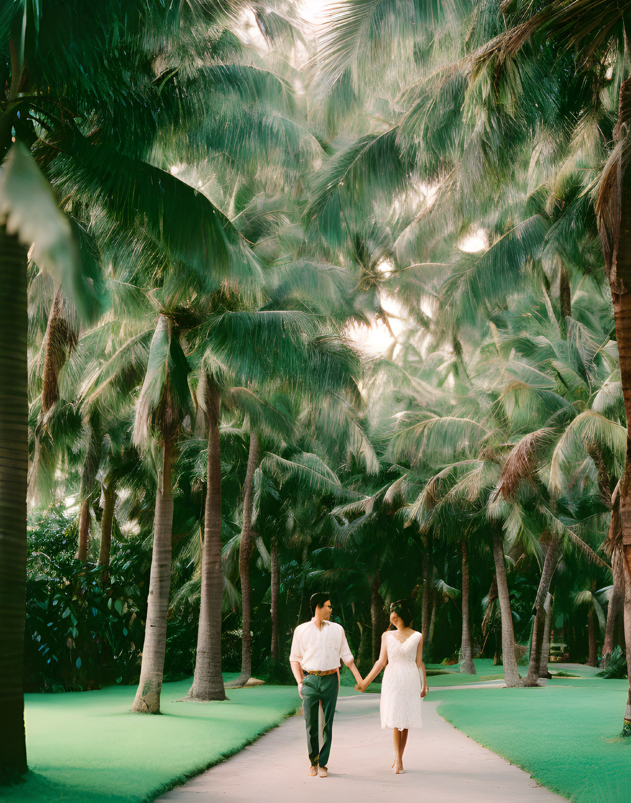 Romantic couple walking among lush palm trees