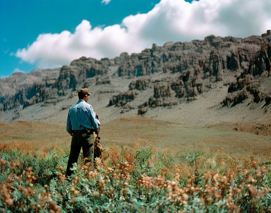 Man standing in vibrant field facing rugged mountain ridge under blue sky