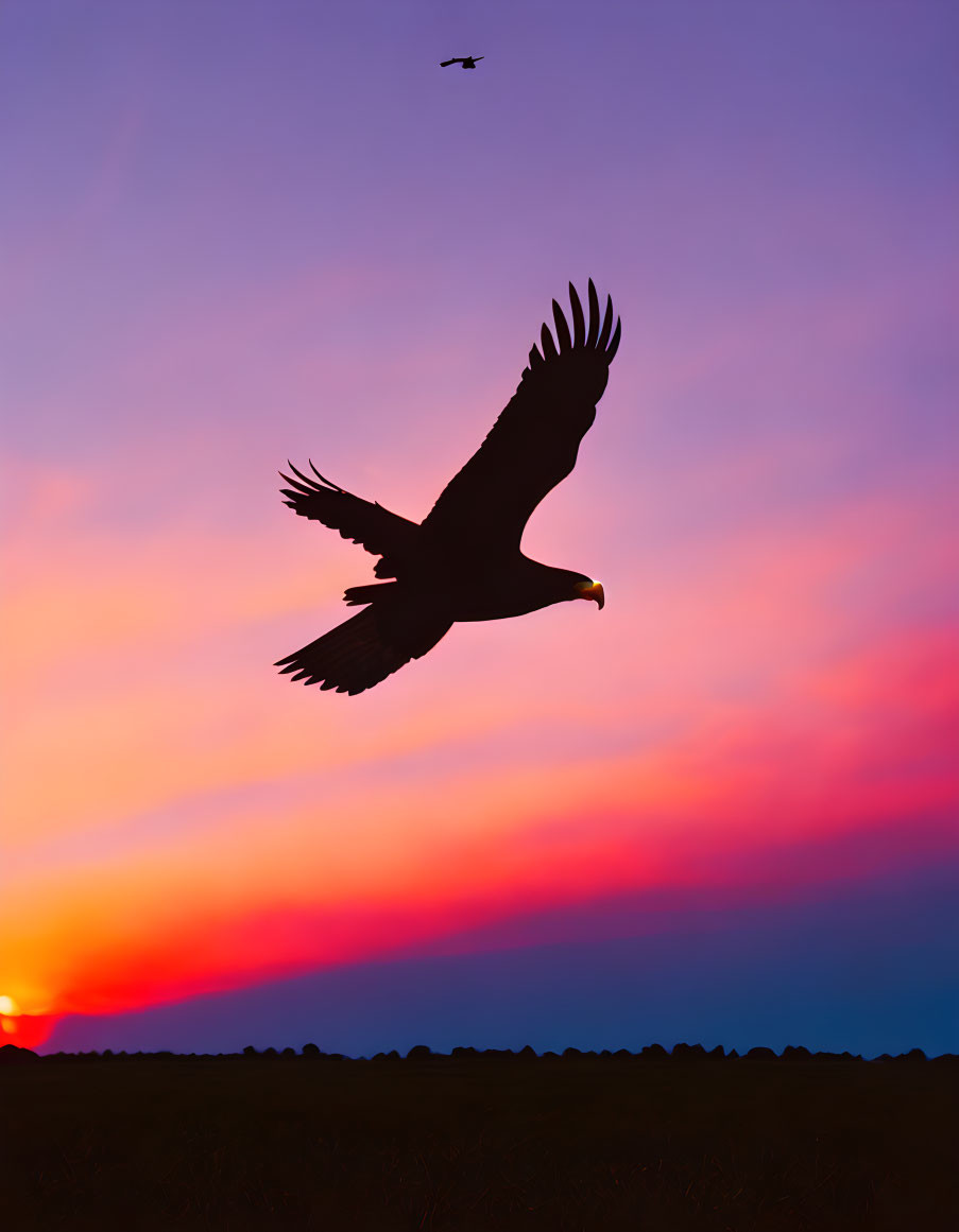 Vibrant sunset colors with eagle and plane silhouette