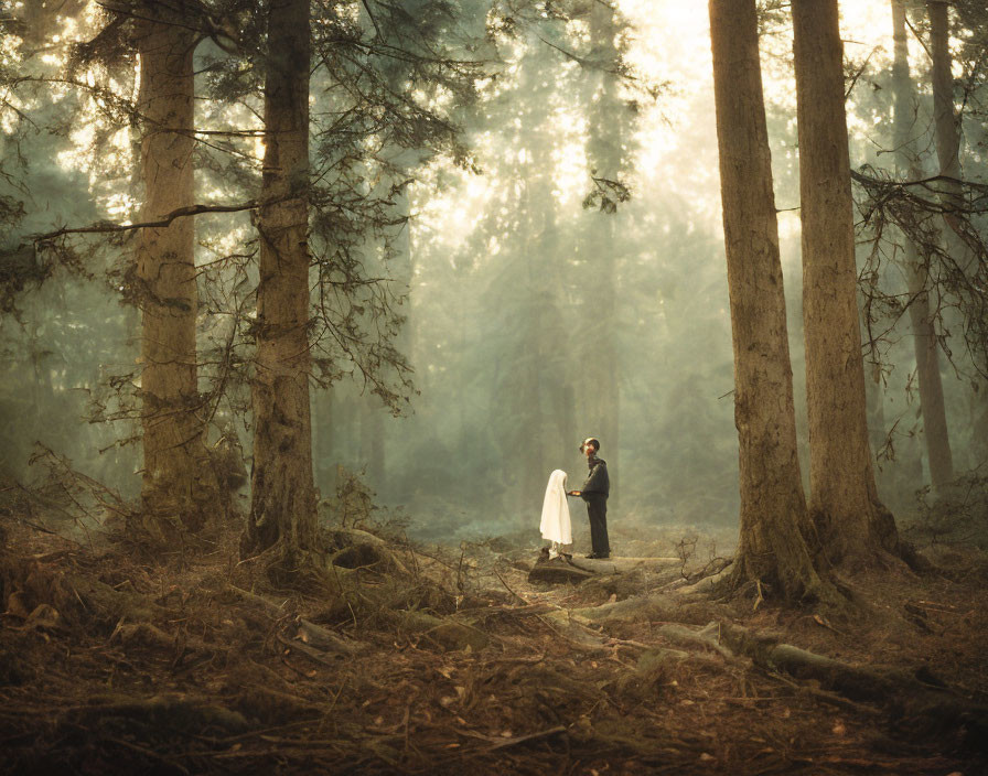 Couple in sunlit forest clearing with misty atmosphere