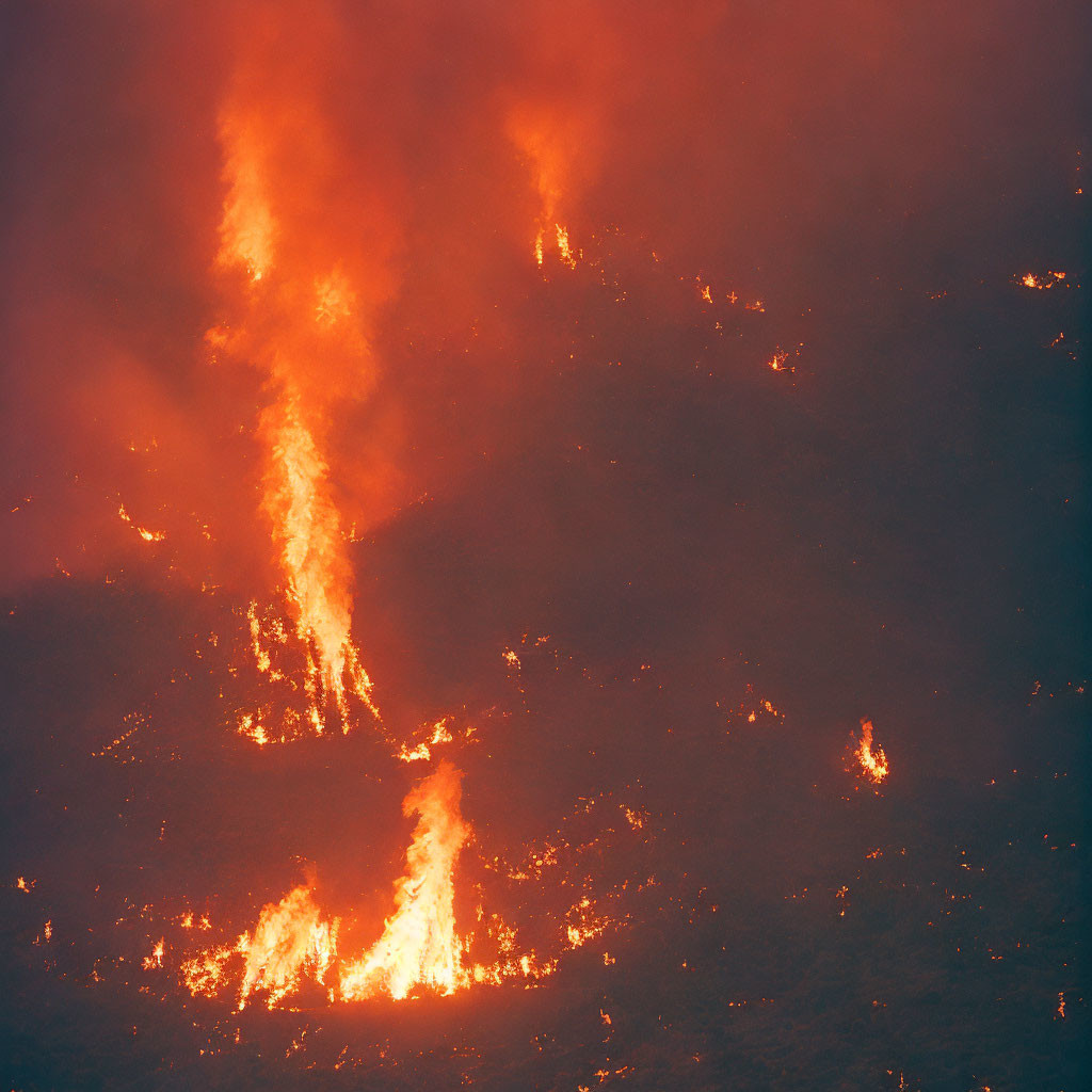 Intense wildfire with towering flames showcasing nature's power