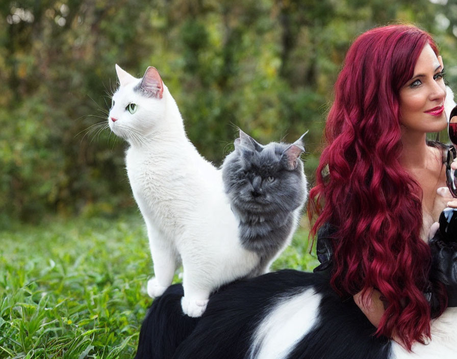 Red-haired woman outdoors with white and grey cats on her back