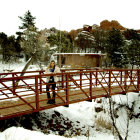 Stylized landscape with ornate bridges and fantastical architecture