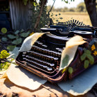 Vintage accordion with blue keys in rustic outdoor setting