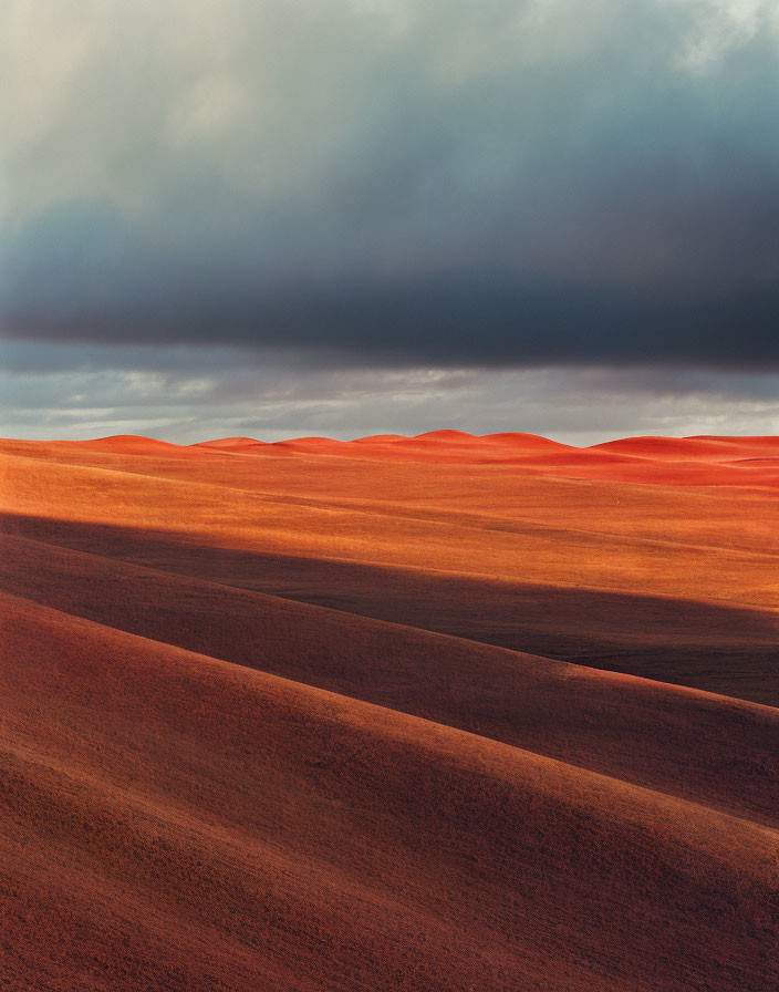 Vibrant red sand dunes under dramatic cloudy sky