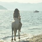 Cowboy in armor on white horse observes tall ship at sea in foggy beach scene