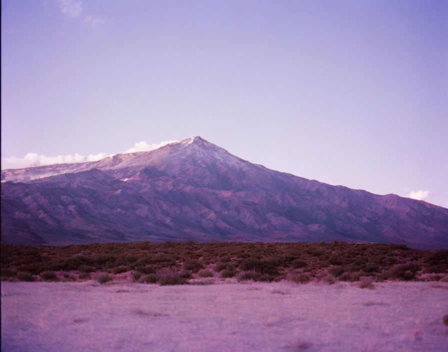 Serene landscape with prominent mountain and sparse vegetation under soft purple sky