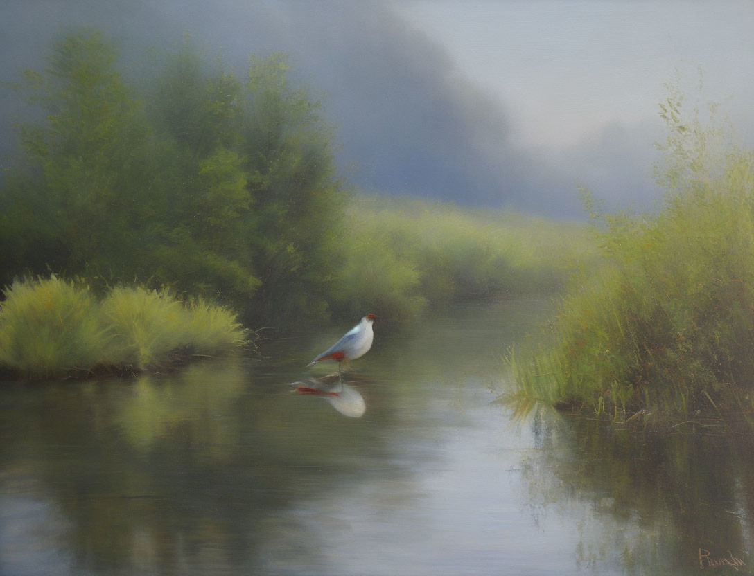 Tranquil river landscape with bird on rock amid lush greenery