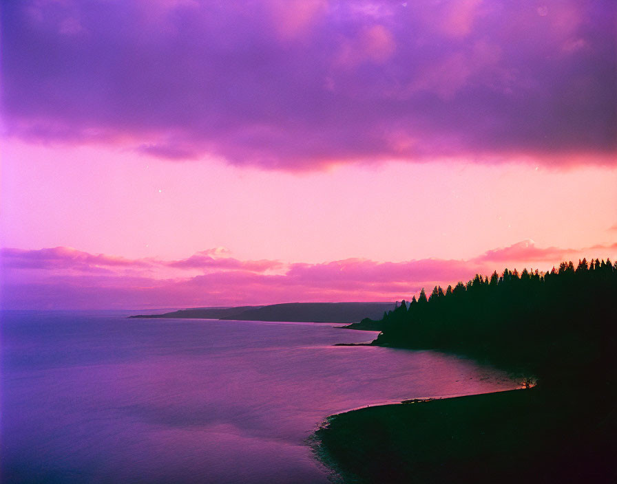 Tranquil Sea and Forested Coastline Under Purple and Pink Dusk Sky