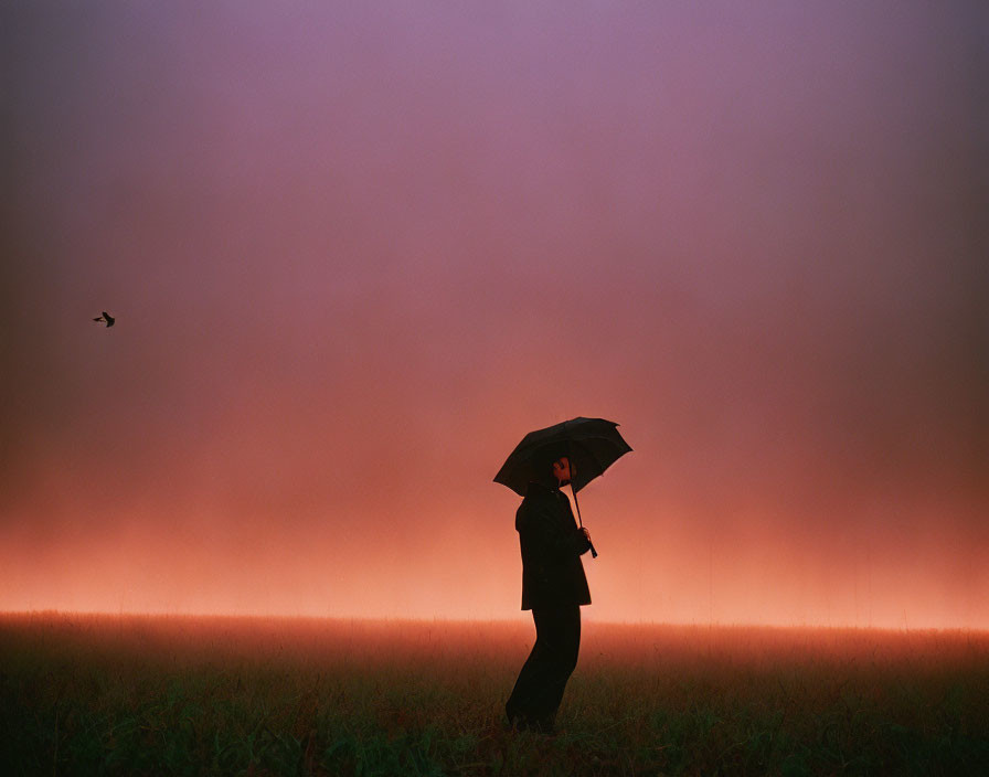 Person with umbrella in misty sunset field with flying bird